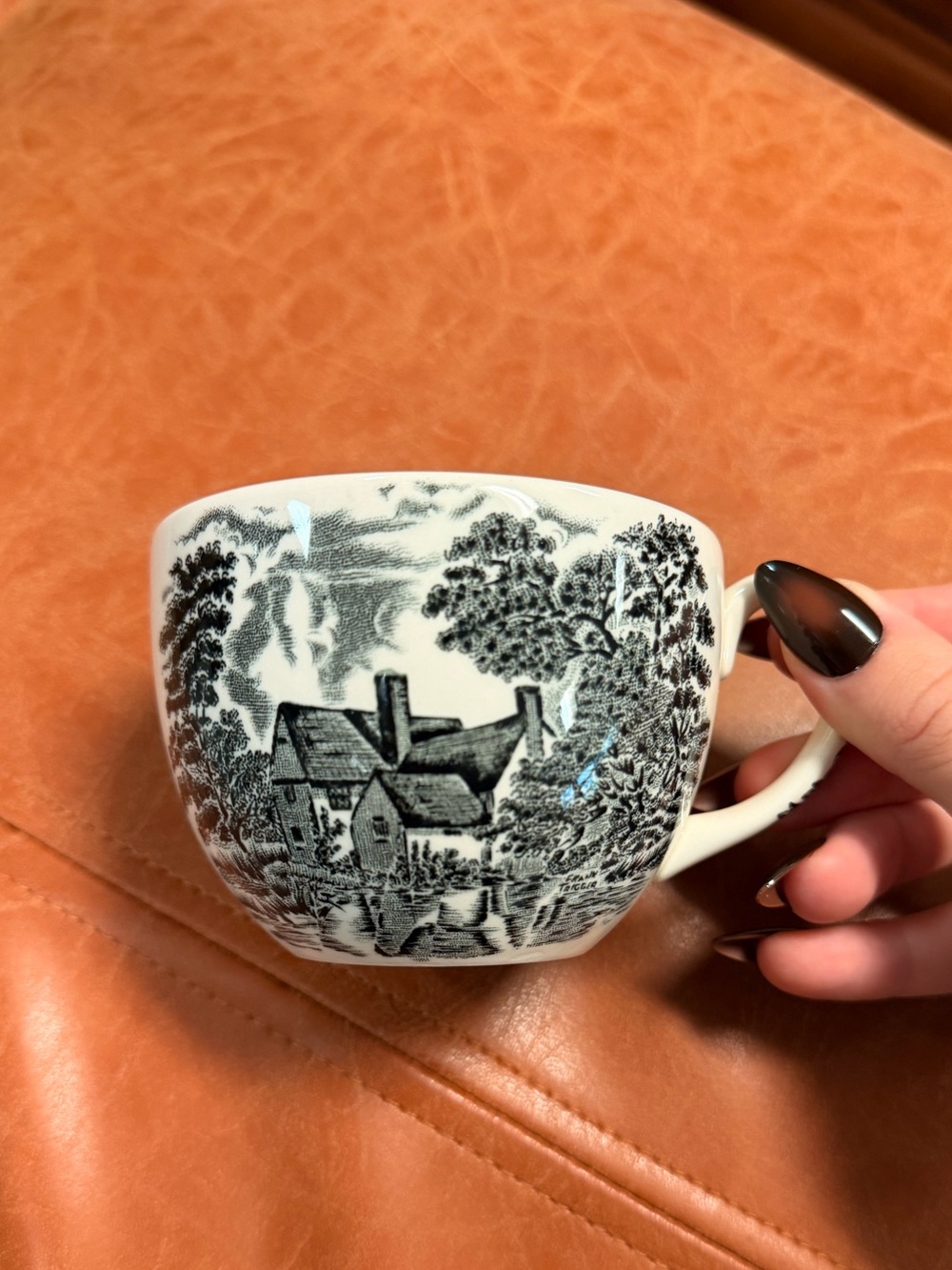 Wedgwood Teacup